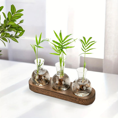 Modern Plant Terrarium Glass Vase with Wooden Tray