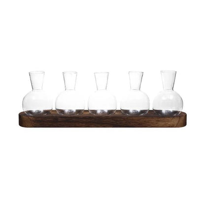 Modern Plant Terrarium Glass Vase with Wooden Tray
