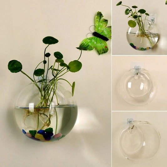 Wall Hanging Glass Hydroponic Terrarium and Fish Tank