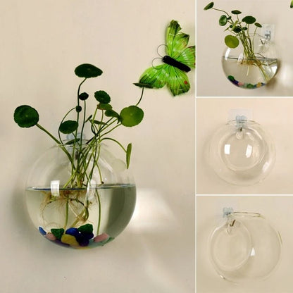 Wall Hanging Glass Hydroponic Terrarium and Fish Tank