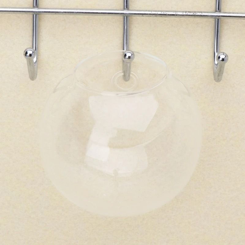 Wall Hanging Glass Hydroponic Terrarium and Fish Tank