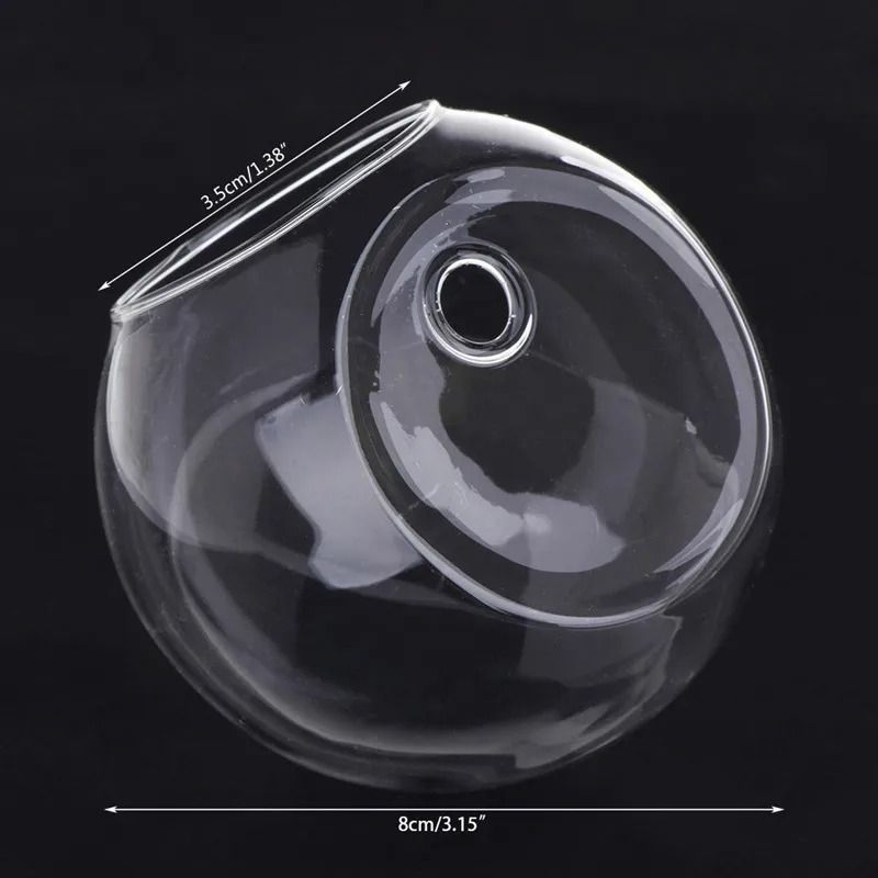 Wall Hanging Glass Hydroponic Terrarium and Fish Tank