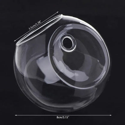 Wall Hanging Glass Hydroponic Terrarium and Fish Tank