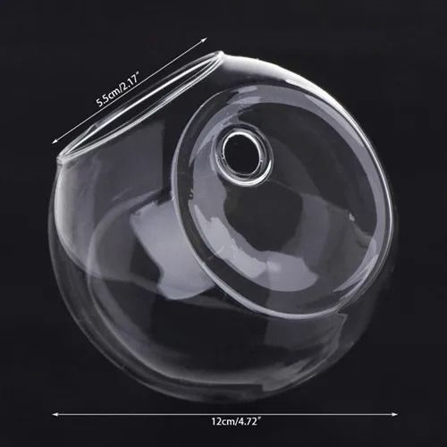 Wall Hanging Glass Hydroponic Terrarium and Fish Tank