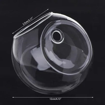 Wall Hanging Glass Hydroponic Terrarium and Fish Tank