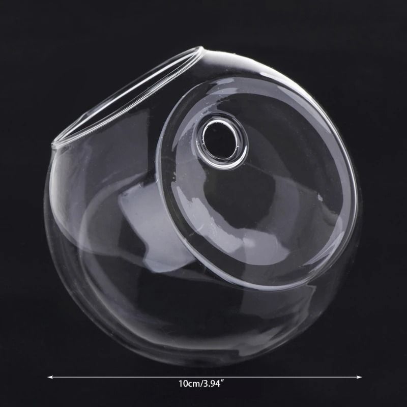 Wall Hanging Glass Hydroponic Terrarium and Fish Tank