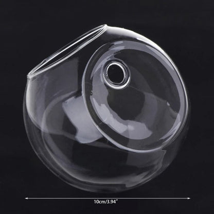 Wall Hanging Glass Hydroponic Terrarium and Fish Tank