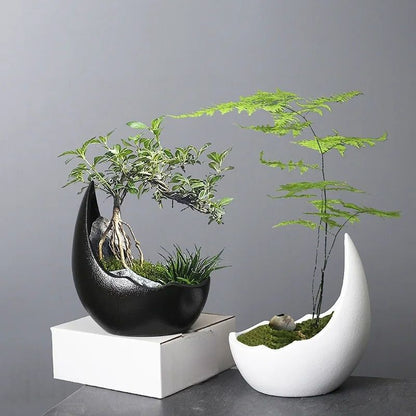 Rhinoceros Horn Ceramic Flower Pot Modern Succulent Planter Home Decoration