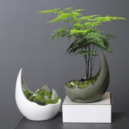 Rhinoceros Horn Ceramic Flower Pot Modern Succulent Planter Home Decoration