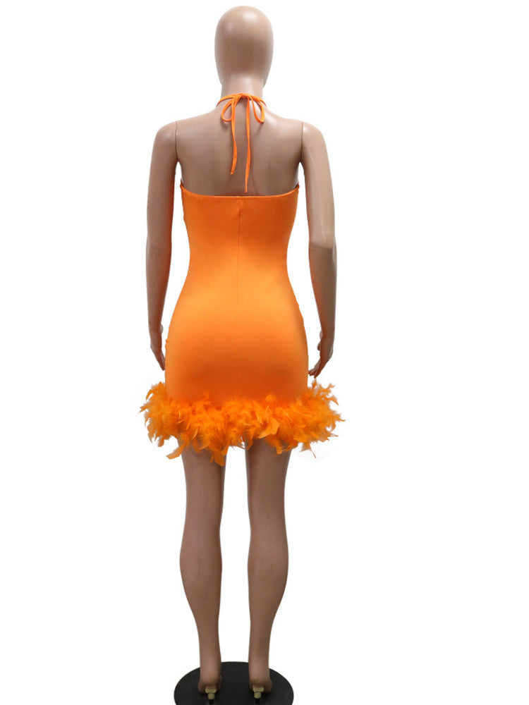 Beautiful Mesh Sequin Feather Glam Dress, Luxury Woman Party Dress, Glitter Sleeveless Night Out Birthday Outfit