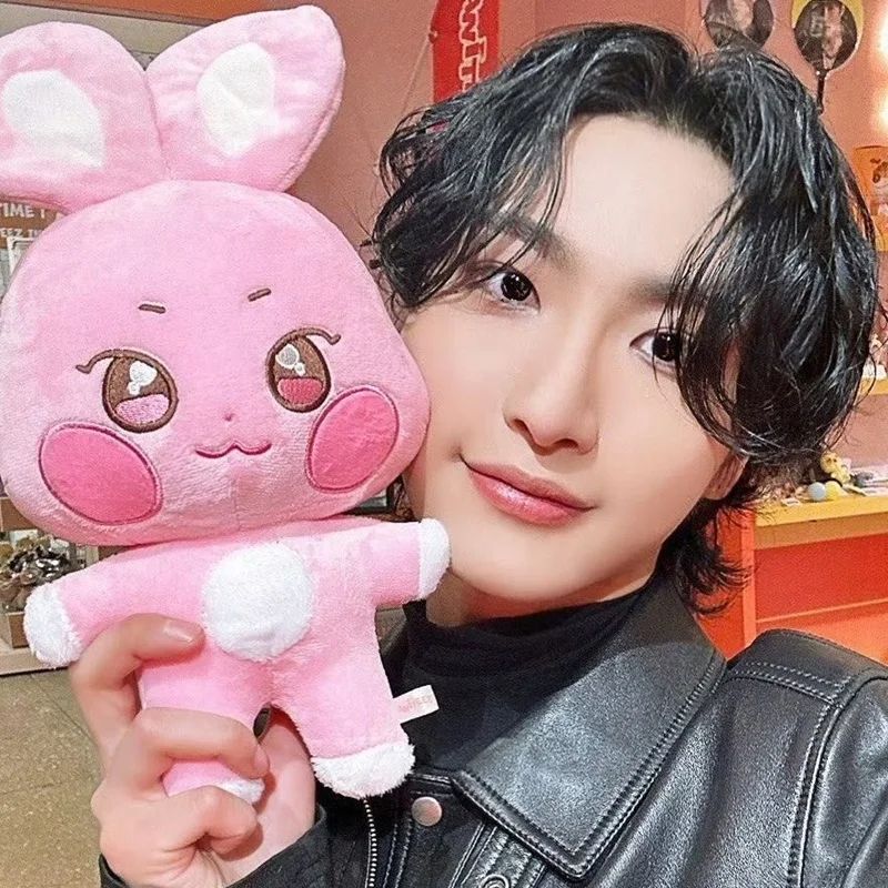 Aniteez Plush Doll & ATEEZ Plush Keychain - Kawaii Stuffed Animal Room Decor Collectible