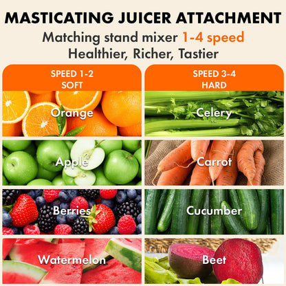 Masticating Juicer Attachment for KitchenAid Stand Mixer, Slow Cold Press Juicer Machine with Dual Feed Chute forHealth