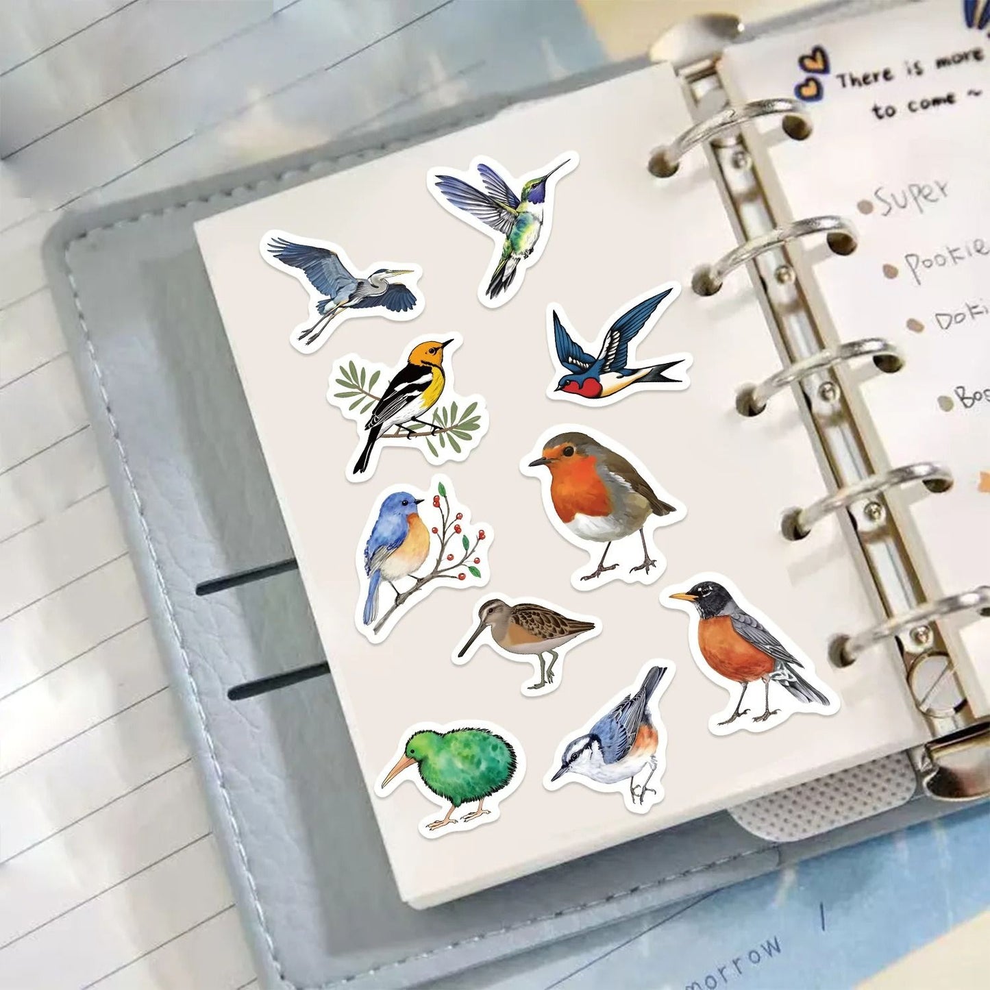 Waterproof Bird Sticker Set for Scrapbooking Journals and Gifts 500pcs