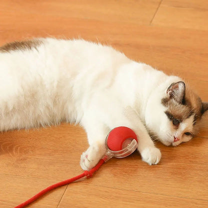 Automatic Interactive Rolling Cat Ball