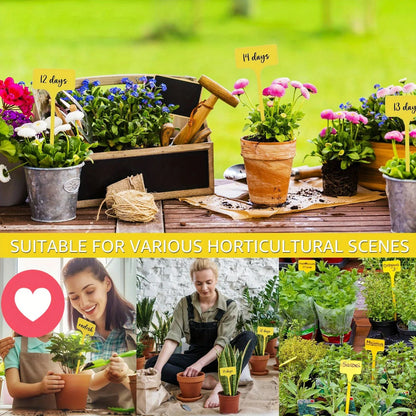 Reusable T Type Garden Plant Labels