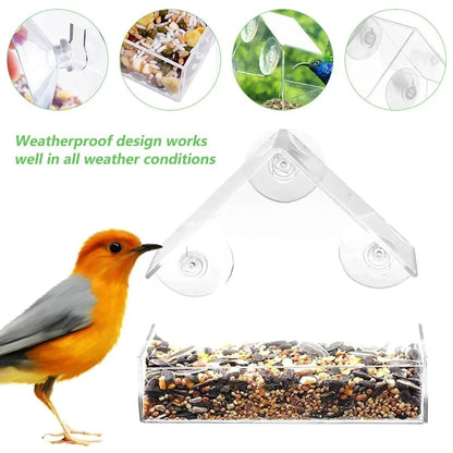 House Transparent Window Wild Bird Feeder with Removable Suction Cups