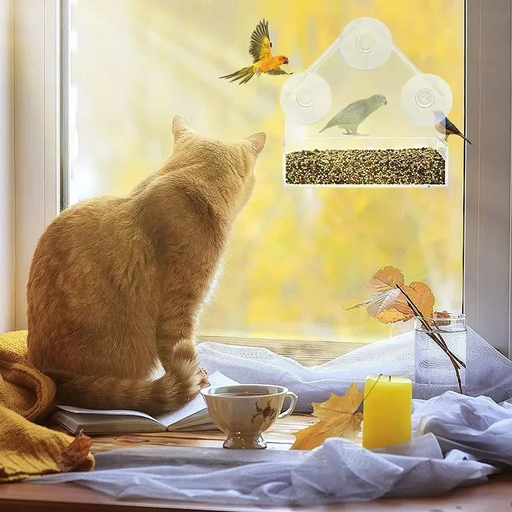 House Transparent Window Wild Bird Feeder with Removable Suction Cups