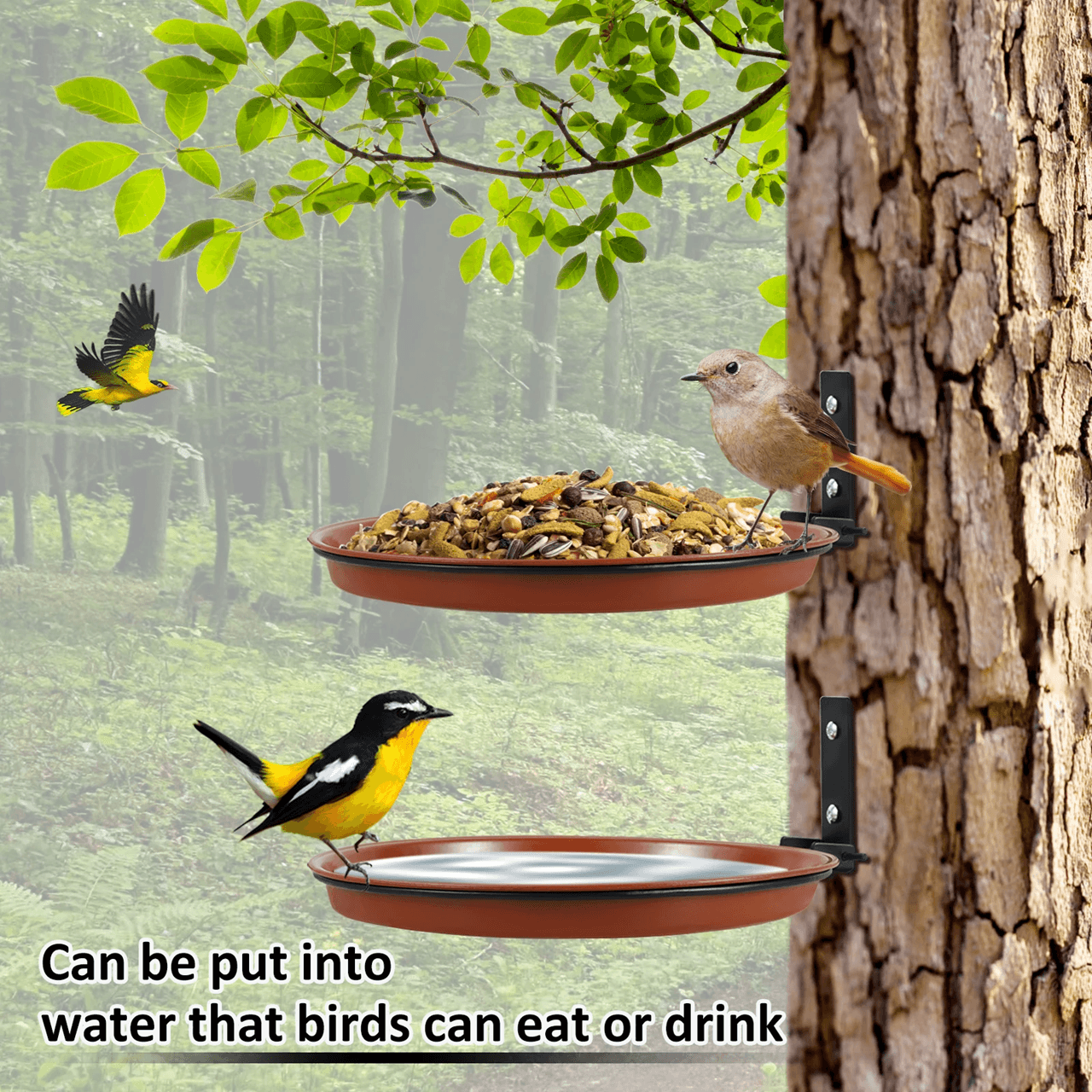Tree Mounted Bird Feeding Trays Multifunctional Garden Feeder Set