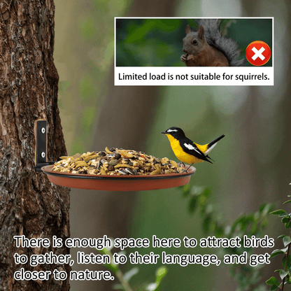 Tree Mounted Bird Feeding Trays Multifunctional Garden Feeder Set
