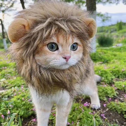Cute Funny Pet Costume Lion Mane Wig Hat with Ears for Cats and Small Dogs