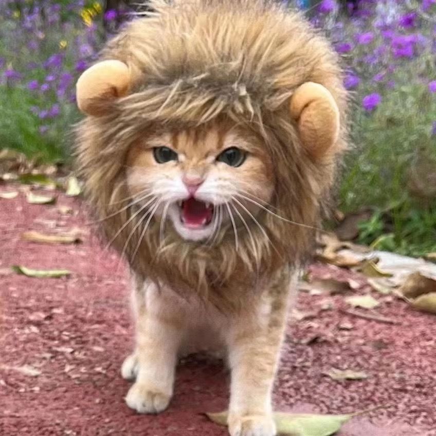 Cute Funny Pet Costume Lion Mane Wig Hat with Ears for Cats and Small Dogs