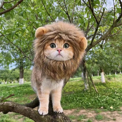 Cute Funny Pet Costume Lion Mane Wig Hat with Ears for Cats and Small Dogs