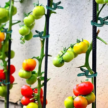 Planters and Pots