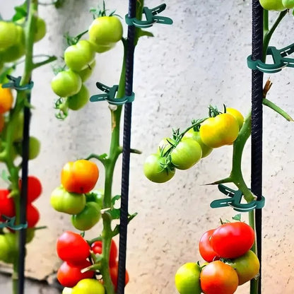 20pcs Adjustable Plant Clips - Reusable Garden Supports for Vines, Tomatoes & Flowers