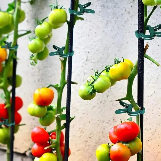 20pcs Adjustable Plant Clips - Reusable Garden Supports for Vines, Tomatoes & Flowers