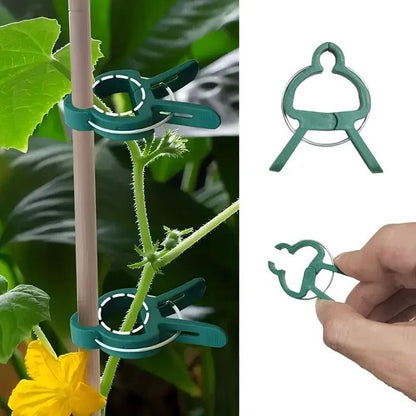 20pcs Adjustable Plant Clips - Reusable Garden Supports for Vines, Tomatoes & Flowers