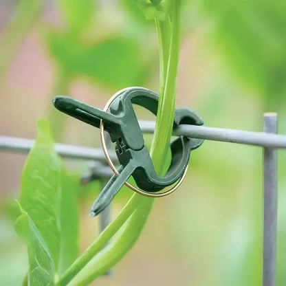 20pcs Adjustable Plant Clips - Reusable Garden Supports for Vines, Tomatoes & Flowers