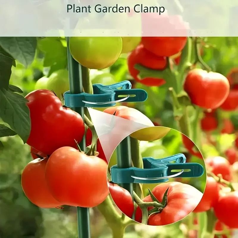 20pcs Adjustable Plant Clips - Reusable Garden Supports for Vines, Tomatoes & Flowers
