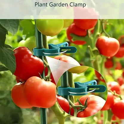 20pcs Adjustable Plant Clips - Reusable Garden Supports for Vines, Tomatoes & Flowers