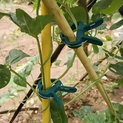 20pcs Adjustable Plant Clips - Reusable Garden Supports for Vines, Tomatoes & Flowers