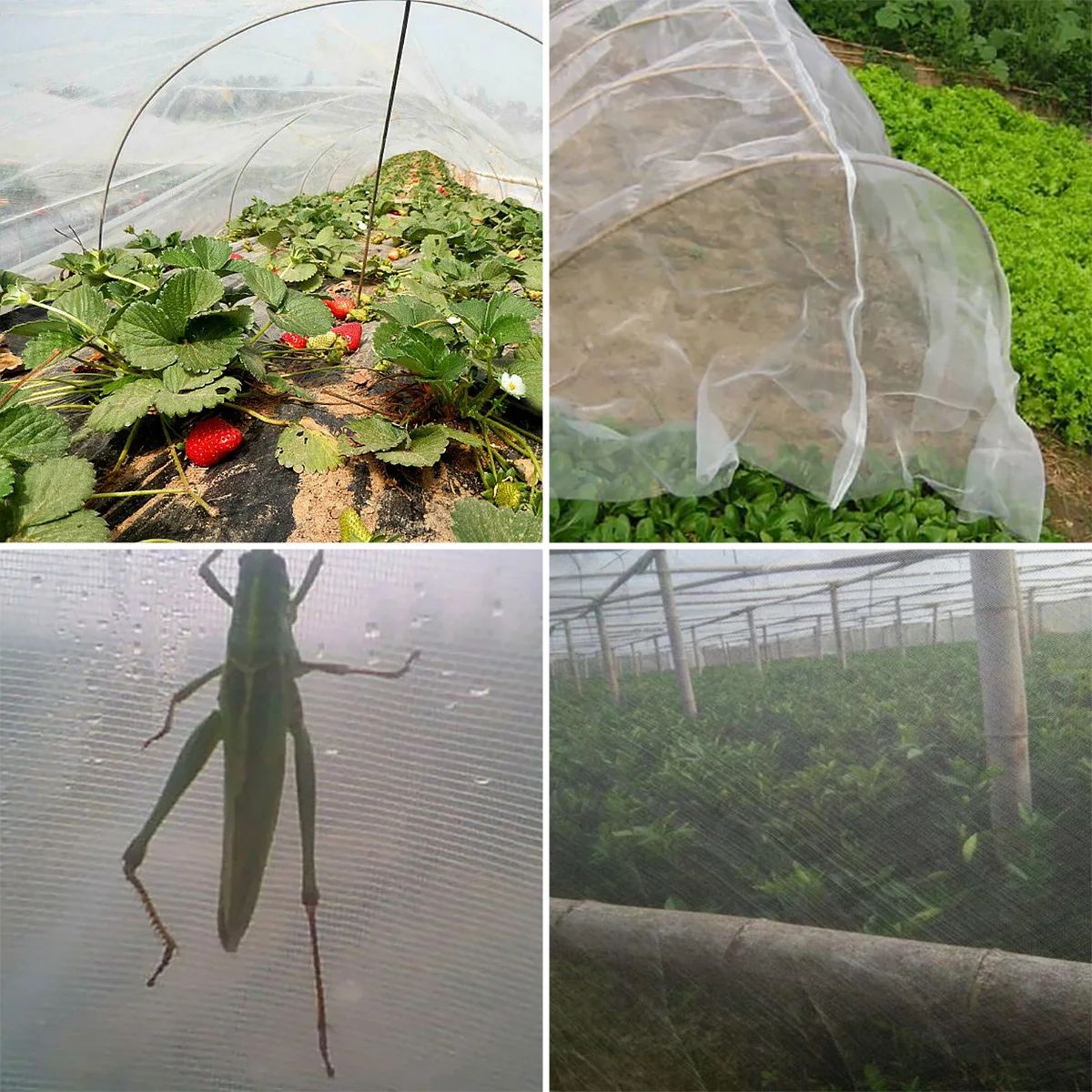 Fine Mesh Insect Netting for Garden Vegetable Protection Net and Anti Bird Netting