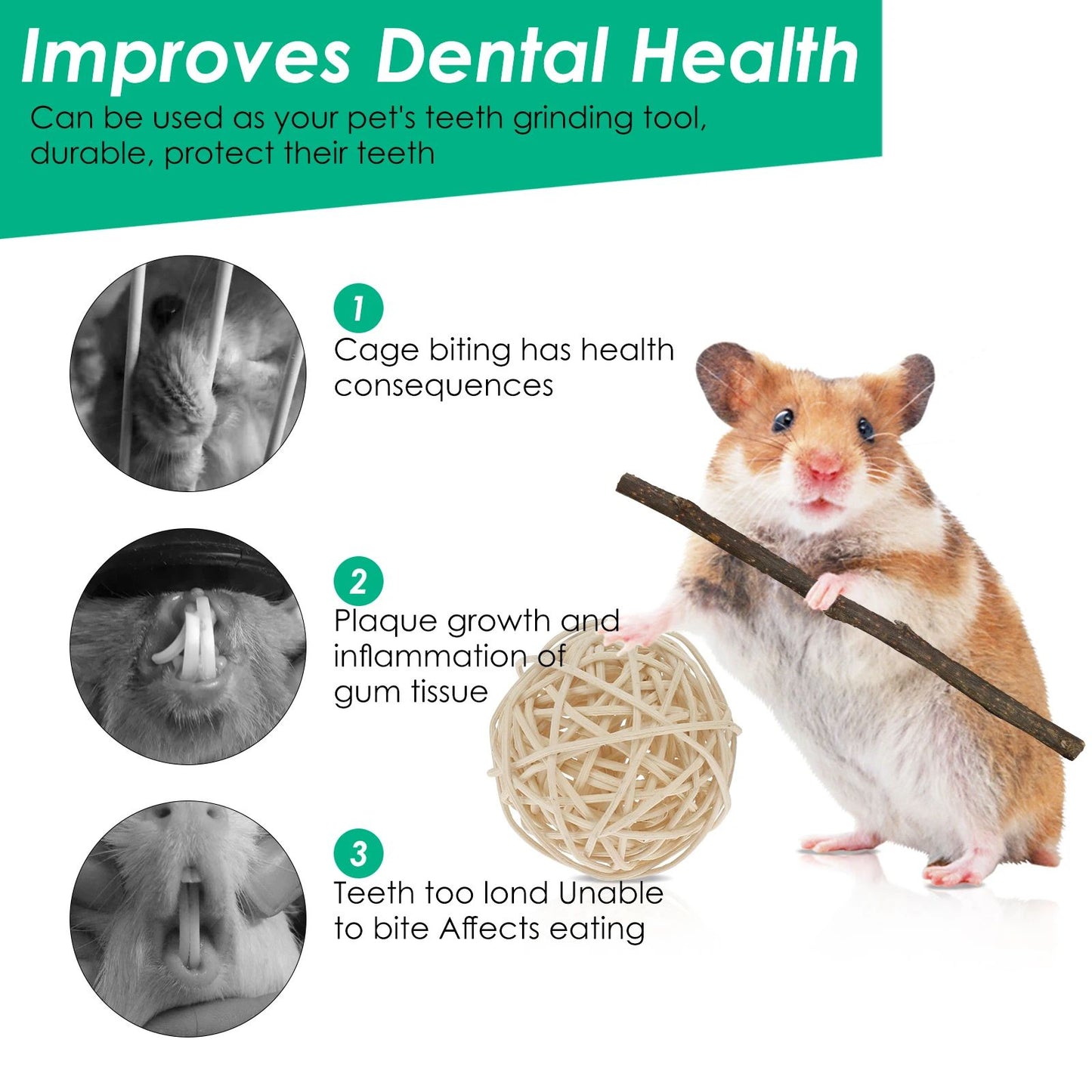 Natural Wood Chew Toy Set for Small Pets – Ultimate Hamster Chew Toy Set for Dental Health & Play