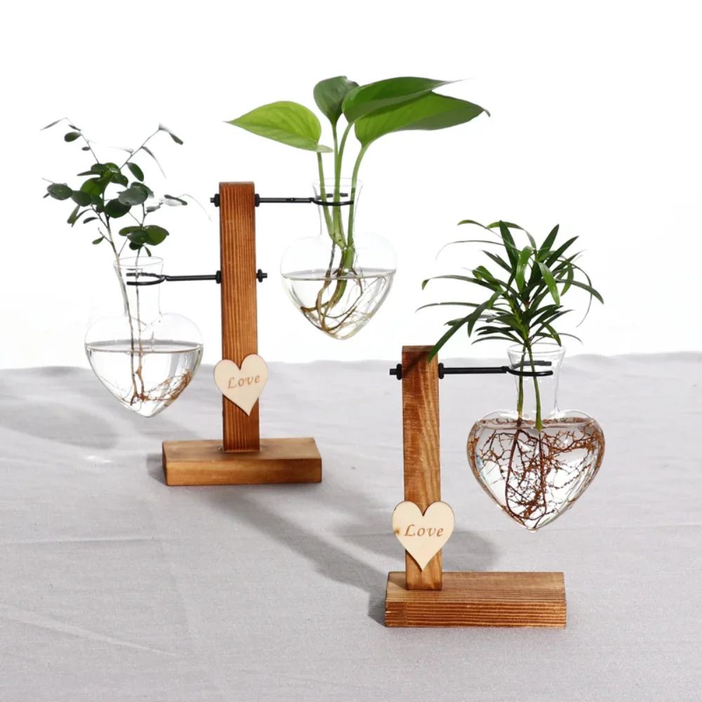 Vintage Hydroponic Glass Vase – Desktop Plant Propagation Terrarium