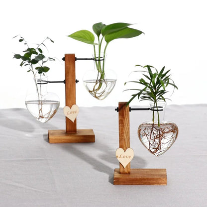Vintage Hydroponic Glass Vase – Desktop Plant Propagation Terrarium
