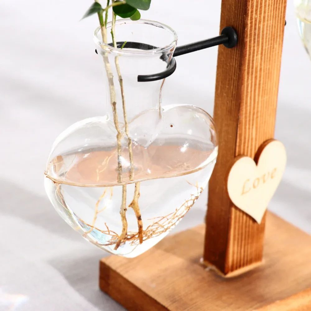 Vintage Hydroponic Glass Vase – Desktop Plant Propagation Terrarium