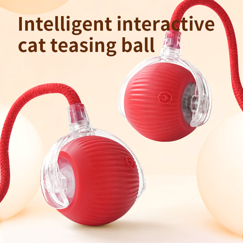 Interactive Silicone Smart Ball for Cats, USB Rechargeable, Electric Rolling Pet Cat Toy with Long Tail Teaser