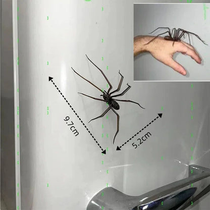 Realistic Spider Fridge Magnets – Fun Novelty Magnetic Home & Garage Decor