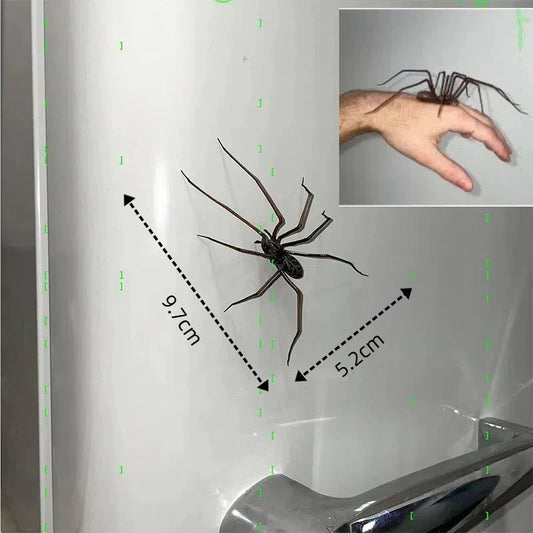 Realistic Spider Fridge Magnets – Fun Novelty Magnetic Home & Garage Decor