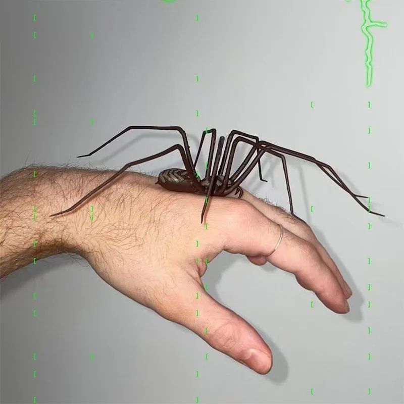 Realistic Spider Fridge Magnets – Fun Novelty Magnetic Home & Garage Decor