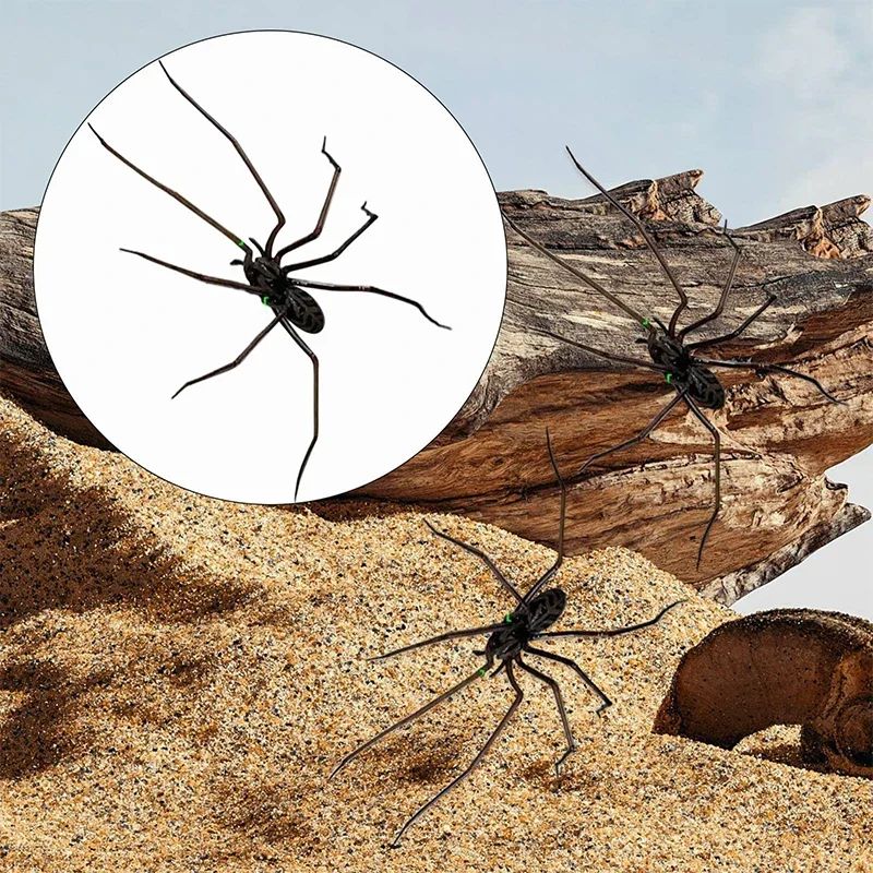 Realistic Spider Fridge Magnets – Fun Novelty Magnetic Home & Garage Decor