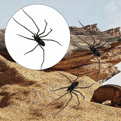 Realistic Spider Fridge Magnets – Fun Novelty Magnetic Home & Garage Decor