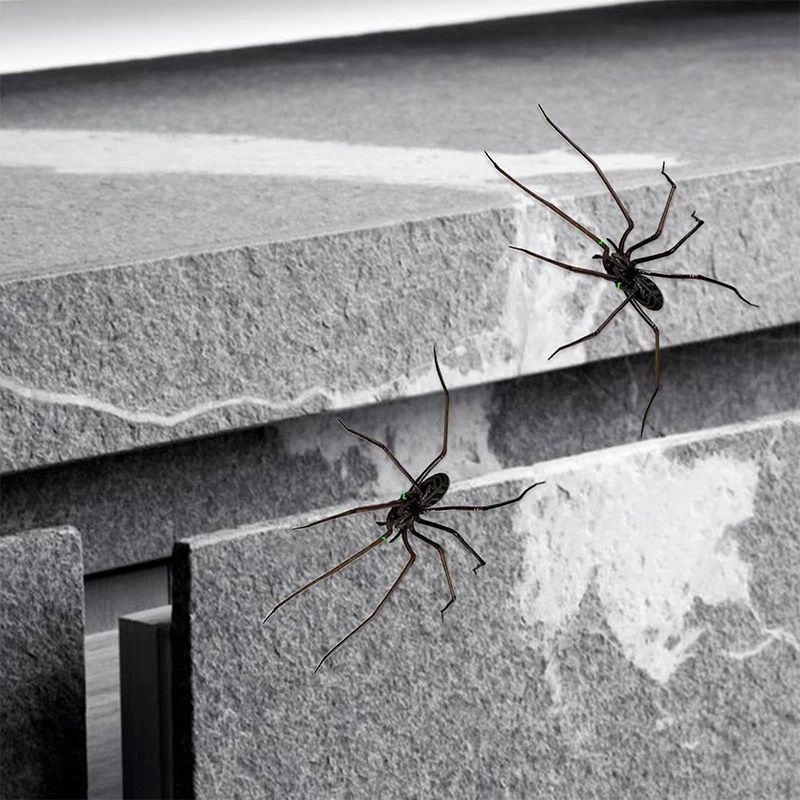 Realistic Spider Fridge Magnets – Fun Novelty Magnetic Home & Garage Decor