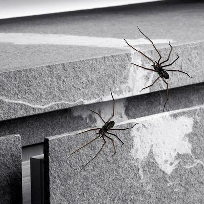Realistic Spider Fridge Magnets – Fun Novelty Magnetic Home & Garage Decor