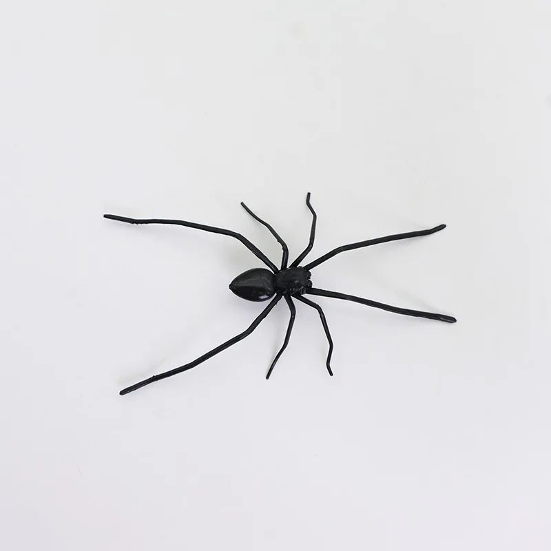 Realistic Spider Fridge Magnets – Fun Novelty Magnetic Home & Garage Decor