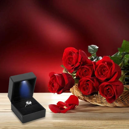 LED Lighted Jewelry Box – Heart & Square Velvet Proposal Cases