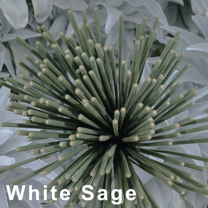 Outdoor Aromatherapy Incense Coils White Sage Lavender Mint